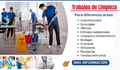 Trabajos de Mantenimiento y Limpieza
