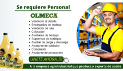 TRABAJOS DISPONIBLES EN LA FABRICA DE ACEITES - OLMECA