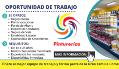 Pinturerias y Muros requiere mas personal