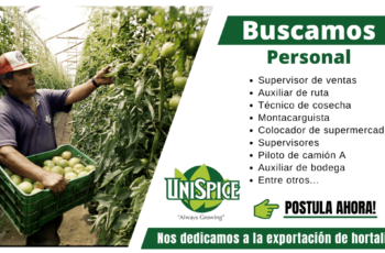 UNISPICE EMPLEOS Y TRABAJOS