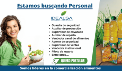 IDEALSA requiere colaboradores
