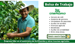 Se busca nuevos talentos para trabajos en - Disagro