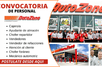 Se busca nuevos talentos para la empresa - DataZone