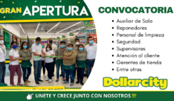 Dollarcity empleos