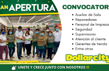 Dollarcity empleos