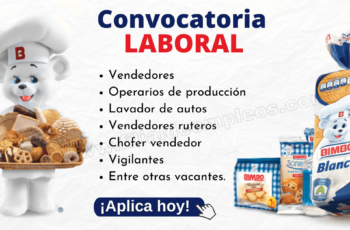 empleos en bimbo