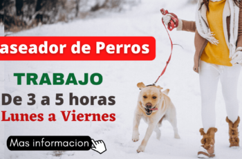 bolsa de trabajo para cuidador y pasear caninos