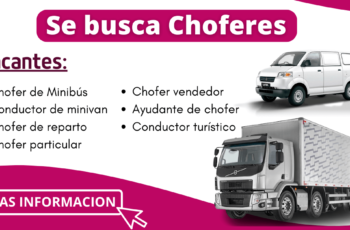 trabajo para choferes