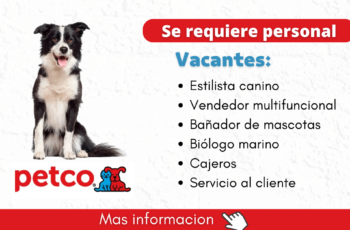 trabajo en veterianarias