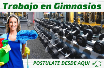 trabajos en gimnasios