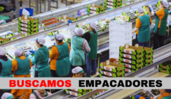 trabajos de empacadores