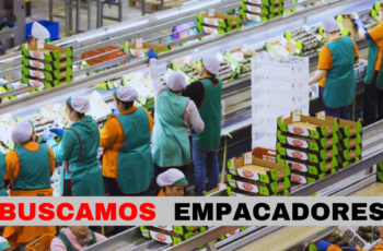 trabajos de empacadores