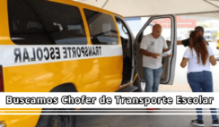 chofer de transporte escolar