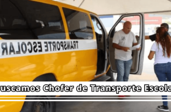 chofer de transporte escolar