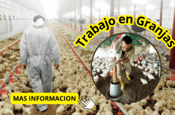 TRABAJO EN GRANJAS