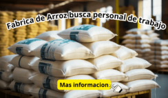 trabajo en almacenes de arroz