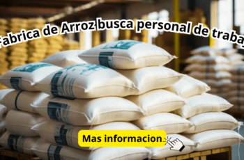 trabajo en almacenes de arroz
