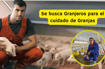 trabajo en granjas