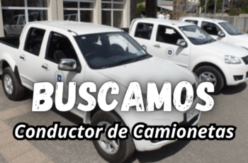 trabajo para choferes