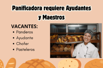 trabajo en panaderias